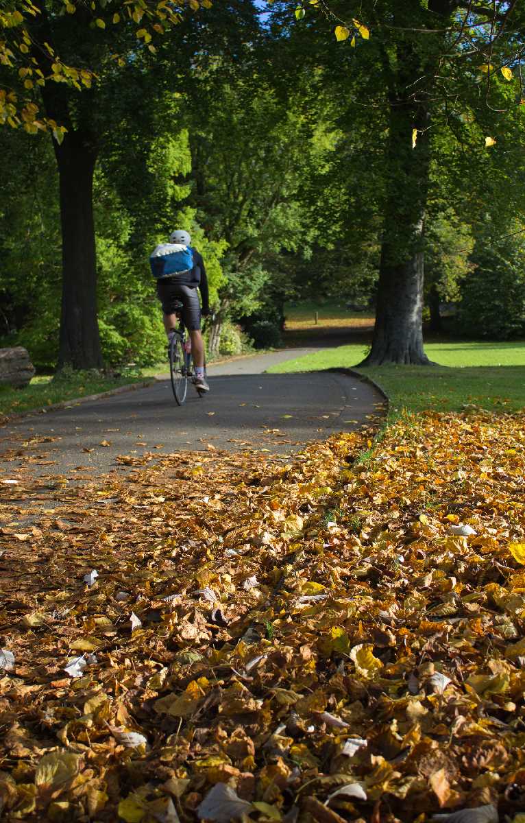 Cycling through the autumn leaves in Highbury Park
